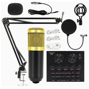 BM800 Condenser Microphone and V8 Sound Card Set, Gold Live Streaming Podcast Recording Kit with Stand