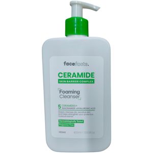 Face Facts Ceramide Foaming Cleanser