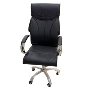 Teleporting Ergonomic Executive Leather Chair High Back, Padded Armrest