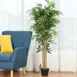 High quality bamboo potted house tree