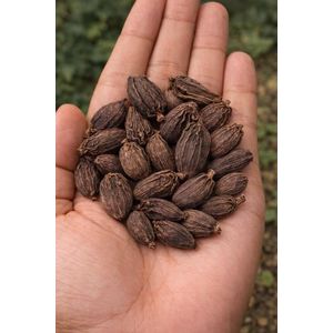 Cardamom Pods (100g)