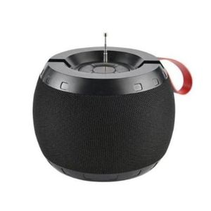 Epe FP-228 Bluetooth Speaker - Black, Portable, 6H Playtime, FM Radio