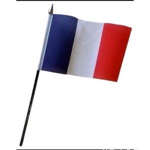 France Mini Flag