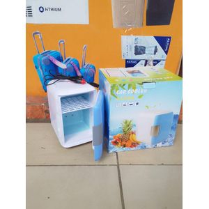 AC/DC car fridge 4L capacity