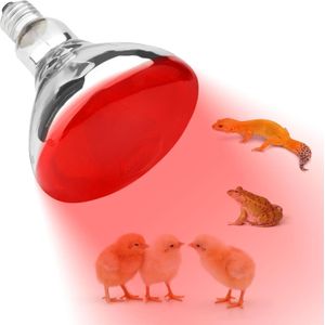 2 pieces Infrared Heat Lamp Bulb, Heat Red Lamp Bulb, Reptile Heat Light Spotlight Floodlight Incandescent Bulbs, for Chicks
