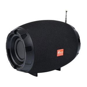 FP-518 WIRELESS SPEAKER