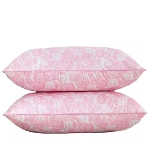 2pcs Feature  Bed Pillows
