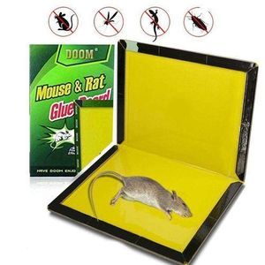Mouse & Rat Glue Traps – Non-Toxic Strong Adhesive Sticky Boards for Home, Kitchen & Store Use