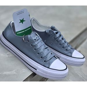 Classic Grey Unisex Canvas Rubber shoe 