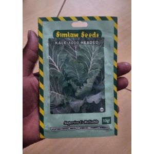 SIMLAW SEEDS KALE 1000 HEADED MULTILEAVES (SUKUMA WIKI)
