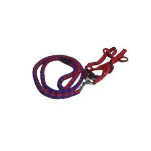 Luxury Dog Leash Harness and Collar Set 3 Piece Pet Set Medium