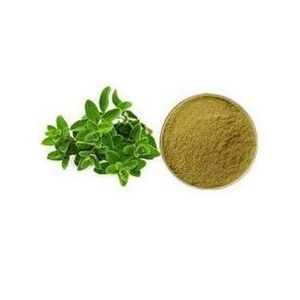 Cardamom powder 