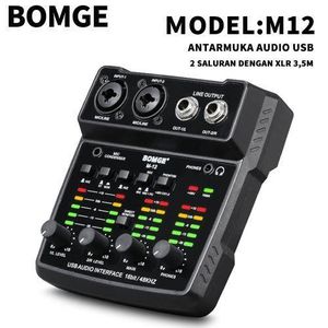 BOMGE M12 2 Channels Audio Interface for PC,USB Sound Card for Recording Studio, Ultra-low Latency Plug&Play