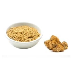 Organic Lion’s Mane Mushroom Powder for brain boost 100g