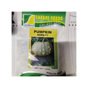 Safari Safariseeds Pumpkin Dora F1