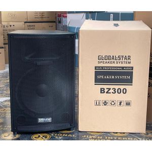 Globalstar BZ300 15-Inch Passive Speaker System – Professional PA Speaker (No Amplifier)