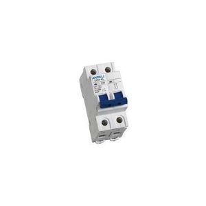 Double Pole Circuit Breakers 63A, MCB