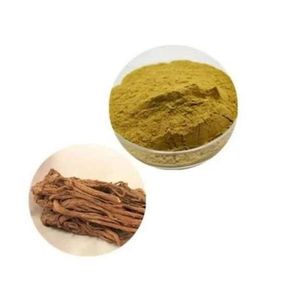 Superfoods Dong Quai Organic Root Extract Powder (female ginseng) 100g – Menstrual Health and Menopausal Symptom Relief