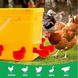 Drink In The Box Automatic detachable chicken waterer, poultry waterer bowl