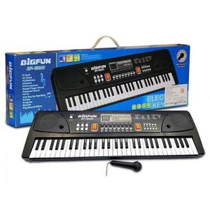 Bigfun 61 Keys USB Electronic Organ Electric Piano with Microphone 