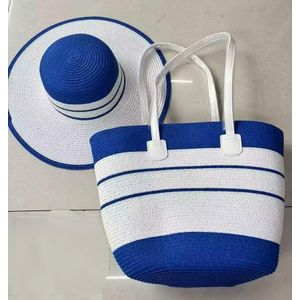 BLUE AND WHITE MULTIPURPOSE HOLIDAY & PICNIC BAG – STYLISH, SPACIOUS