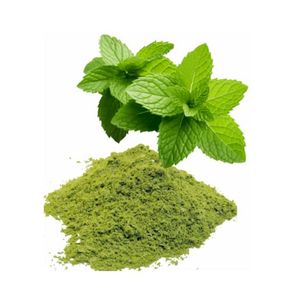 Organic 	Natural Spearmint Powder  100g    