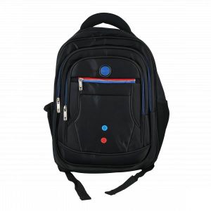 Briseis  Laptop Bag PP01  15.6 Inch Laptop Sleeve Case  Lightweight & Shockproof