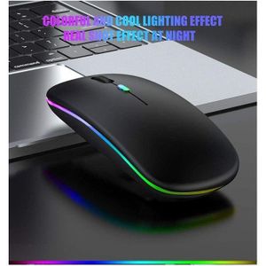 HP W10 Bluetooth & Wireless Dual Model Mouse 