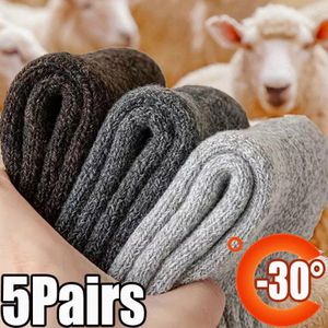 Buy Wool Underwear Merino Wool Shorts Hand Knitted Shorts Warm Shorts Sheep  Wool Online in India 