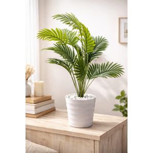 Artificial Palm Flower , Decor Stones Plus A Vase