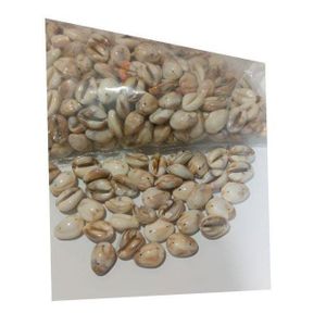 Beads Cowrie Shell For Hair Accessories/Jewelry/tailoring accessories/DIY/traditional beads/decor 35psc