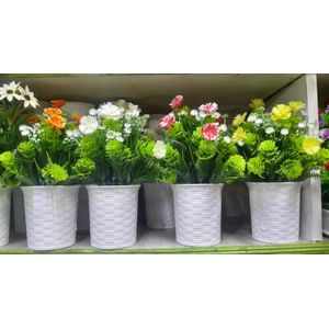 Multicolored Bonsai Plant – Table Decor – Modern Style – White Vase