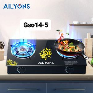 AILYONS Two burners  Gso14-5