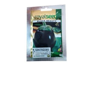 Kenya Highland EGGPLANT BLACK BEAUTY SEEDS