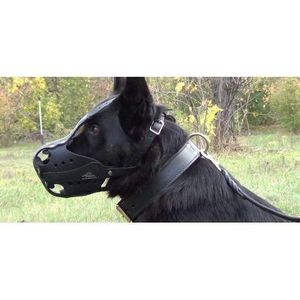 Leather Dog Traning Muzzle for Large Dog
