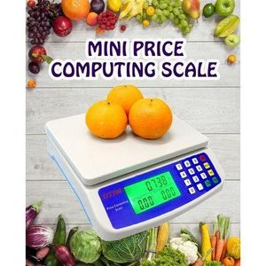  Digital Electronic Price Computing Weighing Scale 30kg DT-580