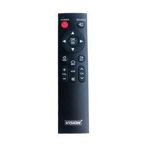 Vision TV remote