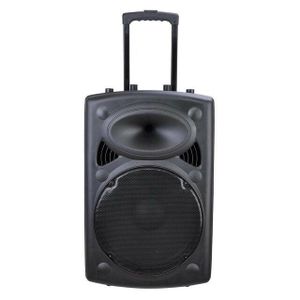 12 Inch Professional Rechargeable Wireless Outdoor Dj Trolley Speaker