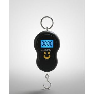Portable Electronic Digital Hanging hook weighing Scale 50kg - High Precision Luggage, Fishing & Kitchen Weight Machine
