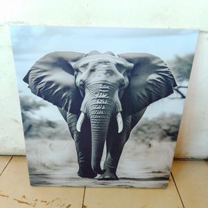 Majestic African Elephant – Detailed Monochrome Wildlife Canvas Wall Art