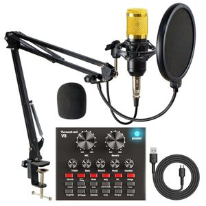 BM800 Streaming Mic with V8 Echo Sound Board