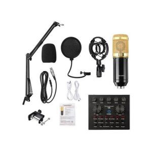 Complete BM800 Condenser Microphone Package with V8 Sound Card for YouTube & TikTok