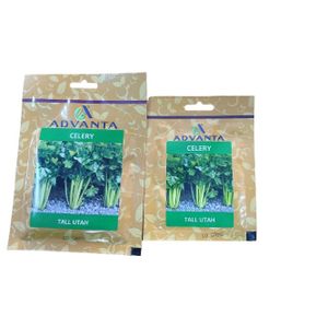 Advanta CELERY TALL UTAH