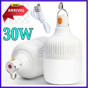 Dp Light  Rechargeable 30W Emergency USB Charging Bulb