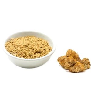 Organic Lion’s Mane Mushroom Powder for brain boost 100g