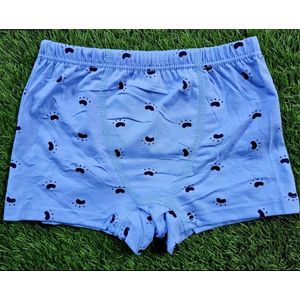 6pcs Luxury Soft Cotton Kids Boxer Lightweight Breathable Boys Underwear with Durable Stitching Elastic Waist and Fun Cartoon Pattern for Toddlers and Babies