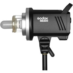 Ms300 studio lights