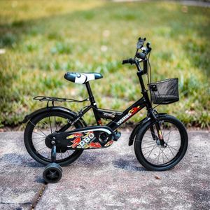 Chain Guard Adjustable Handlebar Stable Handling Modern Design 16 Inch 4-7 Years Old Children Kids Bicycle