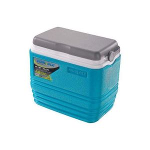 Cooler Box 4.5L Chiller Cool Box Portable For Ice / Medicine / Ice Pop Picnic Travel Hiking 48 Hours Keep Cool 