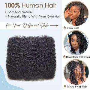 Afro Kinky Bulk Human Hair For Dreadlocks Extensions 